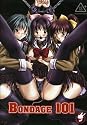 Bondage 101 (Vanilla Series)