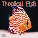 TROPICAL FISH 2010 Wall Calendar