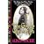 The Gypsy Chronicles: Alison Mackie's The Gypsy Chronicles