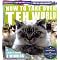 The 2009 Cat Humour List