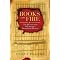 Burning Books and Libraries throughout History