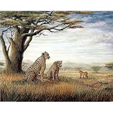 (16x20) Cheetahs of the Plains Art Print POSTER animal safari
