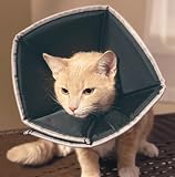 Comfy Cone 8
