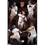 (22x34) San Francisco Giants Team Wilson Posey Lincecum Sandoval Cain Sports Poster Print