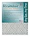 Accumulair FC17X22_4 MERV 6 Rating Air Filter/Furnace Filters, 17x22x1 (16.5 x 21.5) - 4 pack