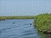 Photo Jigsaw 16x12 (40x30cm) Dug out canoes on the River Gambia by Robert Harding