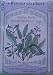 Sage Seeds Italian Aromatic 80 Seeds