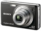 Sony Cyber-shot DSC-W230 12.1 MP Digital Camera with 4x Optical Zoom and Super Steady Shot Image Stabilization (Black)