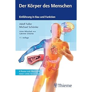 Der Körper des Menschen: Einführung in Bau und Funktion