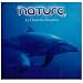 Nature : Le Chant Des Dauphins