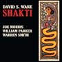 Shakti (Dig)