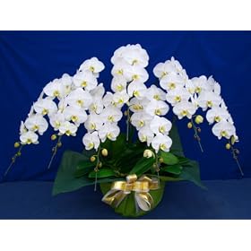 �Ӓ����L���O�E�G�N�Z�����g�V�{����