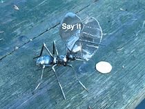 metalgnu