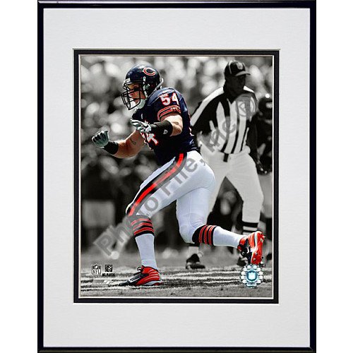 Photo File Chicago Bears Brian Urlacher Framed Photo