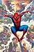 Spider-Man - Rivals by Unknown. Size 22.00 inches width by 34.00 inches height. High Quality Art Poster Print