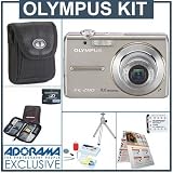 Olympus FE-280 Digital SILVER Camera Kit, with 2 GB xD Picture Memory Card, Camera Bag, Table Top Tripod , EZ Digital Photography Guide Card, Spare LI- 42B Lithium-Ion Rechargeable Battery, Slinger Digital Memory Case(4), Professional Lens Cleaning Kit