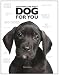Choosing the Right Dog for You