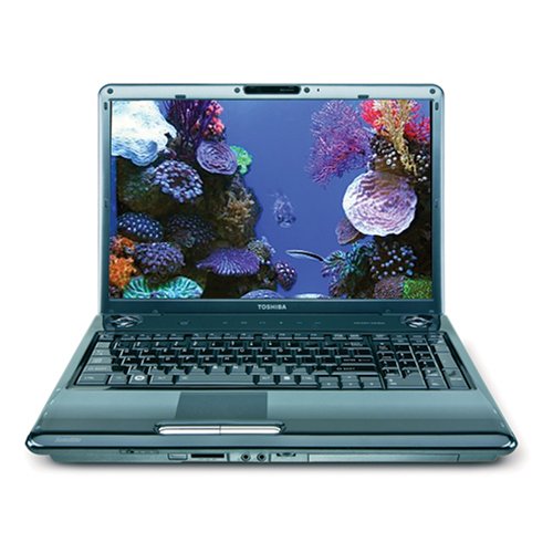 Toshiba Satellite P305-S8832 17-inch Laptop (2.0GHz Intel Core 2 Duo T5750 Processor, 3 GB RAM, 250 GB Hard Drive, DVD Drive, Vista Premium) Black