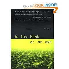 In The Blink Of An Eye