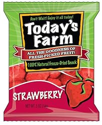 Today's Farm Freeze-dried Strawberry, .50-Ounce Bags (Pack of 20)