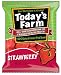 Today's Farm Freeze-dried Strawberry, .50-Ounce Bags (Pack of 20)