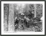 Historic Print (L): [Alaska]: Dyea Trail blocked by falling horse