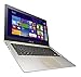 ASUS UX303 13-Inch Laptop [2014 model]