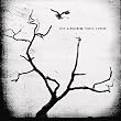 The Airborne Toxic Event