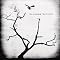 The Airborne Toxic Event