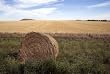 Hay Roll Here, Farm Nearby - Bucolic 16x20-inch Photographic Print by Carol M. Highsmith