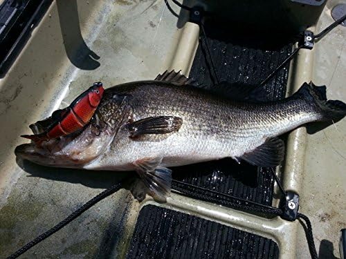 Aqua Relic Fatty - Golden 777