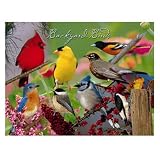 New Impact Photographics Cleaning Cloth Backyard Birds Microfiber Cloth For Glasses Optics Or Camera