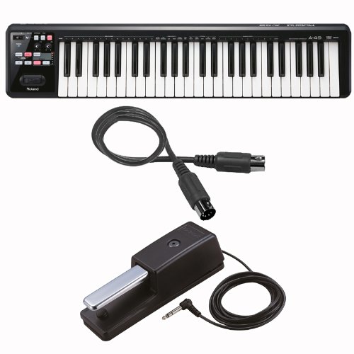 Roland A 49 MIDI Keyboard Controller Black With DP 10 Expression Pedal