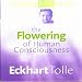 The Flowering of Human Consciousness
