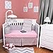 Chevron Zig Zag Pink and Gray 5 Piece Baby Crib Bedding Set with Bumper