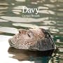 Davy