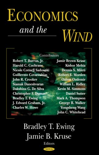 Economics And The Wind