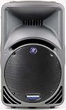 Mackie SRM-450