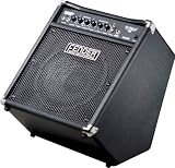 Fender&reg; Rumble 30 30W 1x10 Bass Combo Amp - B00365YTOE