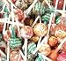 Chupa Chups Lollipops Assorted 5lb