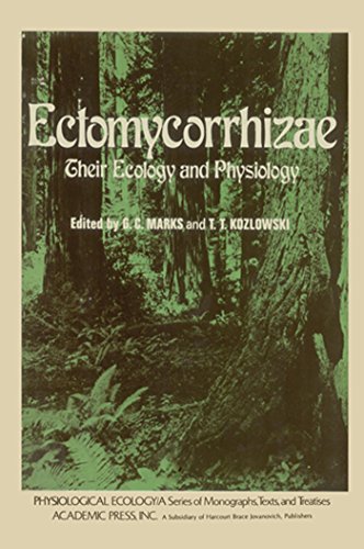 Ectomycorrhizae: Their ecology and physiology (Physiological Ecology)