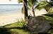 Shady Hammock - 24