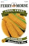 Ferry-Morse 1965 Corn Seeds, Early Sunglow Hybrid (20 Gram Packet)