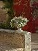 Urn of Petunias, Chateau de Pierreclos, Burgundy, France Premium Photographic Poster Print by Lisa S. Engelbrecht, 30x40
