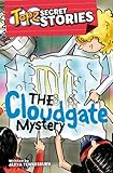 The cloudgate mystery
