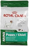 UPC 030111493255 product image for Royal Canin Mini Puppy Dry Dog Food, 2.5-Pound Bag | upcitemdb.com