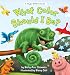 Books : What Colour Should I Be? (A Magic Colour Book)