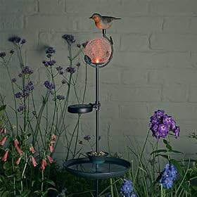 Mangeoire pour oiseaux solaire