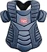 TeamExpress - Rawlings Workhorse Adult Catchers Chest Protector