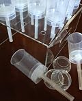 Push It up Pop Containers-each Holds 2 Mini Cupcakes 